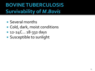 Bovine tuberculosis