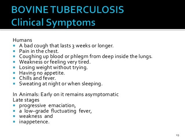 Bovine tuberculosis