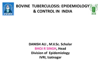 BOVINE TUBERCULOSIS: EPIDEMIOLOGY
& CONTROL IN INDIA
DANISH ALI , M.V.Sc. Scholar
BHOJ R SINGH, Head
Division of Epidemiology
IVRI, Izatnagar
 