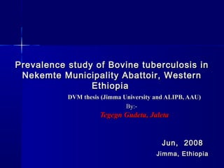 Pre valence study o f Bovine tuberculosis in
 Nekemte Municipality Abattoir, Western
                 Ethiopia
           DVM thesis (Jimma University and ALIPB, AAU)
                              By:-
                     Tegegn Gudeta, Jaleta


                                          Jun, 2 008
                                        Jimma, Ethiopia
 