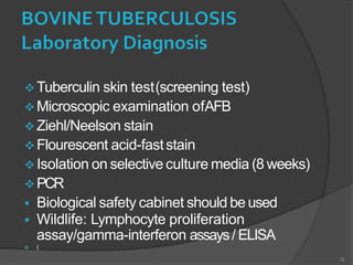 Tuberculin skin test(screening test)
 Microscopic examination ofAFB
 Ziehl/Neelson stain
 Flourescent acid-faststain
 Isolation on selective culture media (8 weeks)
 PCR
 Biological safety cabinet should be used
 Wildlife: Lymphocyte proliferation
assay/gamma-interferon assays/ ELISA
 (
12
 