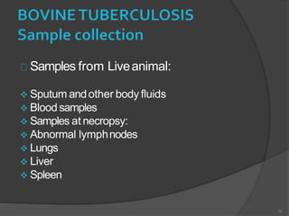Samples from Liveanimal:
 Sputum andother body fluids
 Blood samples
 Samples atnecropsy:
 Abnormal lymphnodes
 Lungs
 Liver
 Spleen
13
 