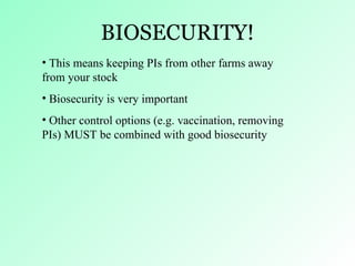 Bovine Viral Diarrhoea Virus | PPT