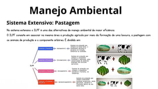 No sistema extensivo o ILPF é uma das alternativas de manejo ambiental de maior eficiência.
O ILPF consiste em associar na mesma área a produção agrícola por meio da formação de uma lavoura, a pastagem com
os animais de produção e o componente arbóreo. É dividido em:
Manejo Ambiental
Sistema Extensivo: Pastagem
 