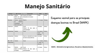 Manejo Sanitário
Esquema vacinal para as principais
doenças bovinas no Brasil (MAPA).
MAPA – Ministério da Agricultura, Pecuária e Abastecimento.
 