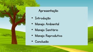 Apresentação
• Introdução
• Manejo Ambiental
• Manejo Sanitário
• Manejo Reprodutivo
• Conclusão
 