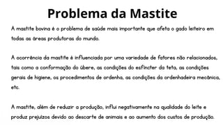 Problema da Mastite
A mastite bovina é o problema de saúde mais importante que afeta o gado leiteiro em
todas as áreas produtoras do mundo.
A ocorrência da mastite é influenciada por uma variedade de fatores não relacionados,
tais como a conformação do úbere, as condições do esfíncter da teta, as condições
gerais de higiene, os procedimentos de ordenha, as condições da ordenhadeira mecânica,
etc.
A mastite, além de reduzir a produção, influi negativamente na qualidade do leite e
produz prejuízos devido ao descarte de animais e ao aumento dos custos de produção.
 