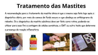 A recomendação para o tratamento da mastite clínica é que o mesmo seja feito logo após o
diagnóstico diário, por meio da caneca de fundo escuro e que obedeça ao antibiograma do
rebanho. Já o diagnóstico da mastite subclínica deve ser feito como rotina, podendo-se
utilizar para esse fim a contagem de células somáticas, o CMT ou outro teste que determine
a presença de reação inflamatória.
Tratamento das Mastites
 