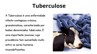 A Tuberculose é uma enfermidade
infecto-contagiosa crônica,
granulomatosa, caracterizada por
lesões denominados tubérculos. É
uma importante zoonose, cuja
prevalência tem aumentado muito
entre os seres humanos
imunodeficientes.
Tuberculose
 