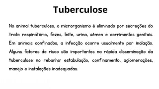 No animal tuberculoso, o microrganismo é eliminado por secreções do
trato respiratório, fezes, leite, urina, sêmen e corrimentos genitais.
Em animais confinados, a infecção ocorre usualmente por inalação.
Alguns fatores de risco são importantes na rápida disseminação da
tuberculose no rebanho: estabulação, confinamento, aglomerações,
manejo e instalações inadequadas.
Tuberculose
 
