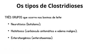 TRÊS GRUPOS que ocorre nos bovinos de leite:
• Neurotóxico (botulismo);
• Histotóxico (carbúnculo sintomático e edema maligno);
• Enterotoxigênico (enterotoxemias).
Os tipos de Clostridioses
 