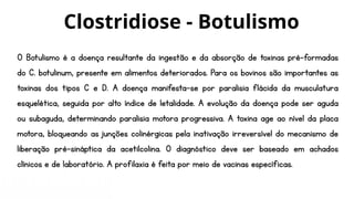 O Botulismo é a doença resultante da ingestão e da absorção de toxinas pré-formadas
do C. botulinum, presente em alimentos deteriorados. Para os bovinos são importantes as
toxinas dos tipos C e D. A doença manifesta-se por paralisia flácida da musculatura
esquelética, seguida por alto índice de letalidade. A evolução da doença pode ser aguda
ou subaguda, determinando paralisia motora progressiva. A toxina age ao nível da placa
motora, bloqueando as junções colinérgicas pela inativação irreversível do mecanismo de
liberação pré-sináptica da acetilcolina. O diagnóstico deve ser baseado em achados
clínicos e de laboratório. A profilaxia é feita por meio de vacinas específicas.
Clostridiose - Botulismo
 