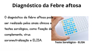 O diagnóstico da febre aftosa pode
ser realizado pelos sinais clínicos e
testes sorológico, como fixação de
complemento, vírus
soroneutralização e ELISA.
Diagnóstico da Febre aftosa
Teste Sorológico - ELISA
 