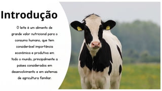 O leite é um alimento de
grande valor nutricional para o
consumo humano, que tem
considerável importância
econômica e produtiva em
todo o mundo, principalmente a
países considerados em
desenvolvimento e em sistemas
de agricultura familiar.
Introdução
 