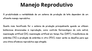 A produtividade e rentabilidade de um sistema de produção de leite dependem de um
eficiente manejo reprodutivo.
Quanto mais tecnificado for o sistema de produção principalmente quando se utilizam
biotécnicas direcionadas à reprodução, como controle farmacológico do ciclo estral,
inseminação artificial (IA), inseminação artificial em tempo fixo (IATF), transferência de
embriões (TE) e produção de embriões in vitro (PIV), maior serão os desafios para que
uma ótima eficiência reprodutiva seja atingida.
Manejo Reprodutivo
 