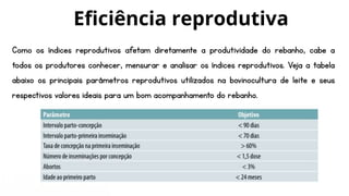 Como os índices reprodutivos afetam diretamente a produtividade do rebanho, cabe a
todos os produtores conhecer, mensurar e analisar os índices reprodutivos. Veja a tabela
abaixo os principais parâmetros reprodutivos utilizados na bovinocultura de leite e seus
respectivos valores ideais para um bom acompanhamento do rebanho.
Eficiência reprodutiva
 