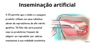 A IA permite que o médio e o pequeno
produtor utilizem em seus rebanhos
sêmen de reprodutores de alto mérito
genético. Tal fato não seria possível
caso os produtores tivessem de
adquirir um reprodutor por valores
inacessíveis à sua realidade econômica.
Inseminação artificial
 