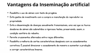 • Possibilita o uso de sêmen com teste de progênie.
• Evita gastos de investimento com a compra e manutenção do reprodutor na
propriedade.
• Evita a disseminação de doenças sexualmente transmissíveis, uma vez que os touros
doadores de sêmen são submetidos a rigorosos testes, preservando, assim, a
condição sanitária do rebanho.
• Permite cruzamentos alternados entre raças diferentes.
• Possibilita a melhoria de certas características desejáveis com os acasalamentos
corretivos. É possível direcionar o acasalamento de maneira a aumentar a produção
e corrigir características lineares.
Vantagens da Inseminação artificial
 
