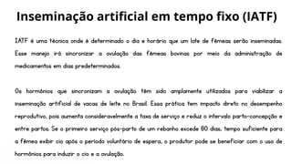 IATF é uma técnica onde é determinado o dia e horário que um lote de fêmeas serão inseminadas.
Esse manejo irá sincronizar a ovulação das fêmeas bovinas por meio da administração de
medicamentos em dias predeterminados.
Os hormônios que sincronizam a ovulação têm sido amplamente utilizados para viabilizar a
inseminação artificial de vacas de leite no Brasil. Essa prática tem impacto direto no desempenho
reprodutivo, pois aumenta consideravelmente a taxa de serviço e reduz o intervalo parto-concepção e
entre partos. Se o primeiro serviço pós-parto de um rebanho excede 80 dias, tempo suficiente para
a fêmea exibir cio após o período voluntário de espera, o produtor pode se beneficiar com o uso de
hormônios para induzir o cio e a ovulação.
Inseminação artificial em tempo fixo (IATF)
 