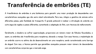 A transferência de embriões é uma biotécnica para garantir uma maior produção de descendentes com
características avançadas que não seria viável naturalmente. Para isso, integra a genética de animais entre
diferentes países, pela facilidade de transporte. O grande potencial é realizar a introdução do embrião em
outra égua de regiões e países diferentes, aumentando a adaptação do feto, com técnicas de melhoramento.
Geralmente, a doadora ao sofrer superovulação, proporciona um número maior de folículos fecundados, e
assim, os embriões são transferidos para receptoras, elevando o manejo. Com essa técnica, a implantação de
um embrião ocorre no sétimo dia de desenvolvimento em uma receptora, sendo caracterizada como barriga
de aluguel. Com isso, a técnica permite que garanhões avançados possuam maior número de descendentes
com características corporais que o mercado exige.
Transferência de embriões (TE)
 