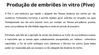 A Pive é uma biotécnica que impede o desgaste das fêmeas doadoras dos oócitos por não
receberem tratamentos hormonais e permite também gerar embriões em situações nas quais
fisiologicamente isso não seria possível, como, por exemplo, em fêmeas pré-púberes, prenhes,
senis, com problemas de infertilidade adquirida ou ainda em período de puerpério.
Entretanto, pelo fato de a aspiração de oócitos das doadoras se tratar de uma biotécnica invasiva,
é importante que os animais sejam cuidadosamente acompanhados por médicos- -veterinários
capacitados, a fim de evitar patologias como aderências e fibroses nos ovários. Essas lesões
podem ser ocasionadas pelo uso excessivo ou não adequado das doadoras de oócitos.
Produção de embriões in vitro (Pive)
 