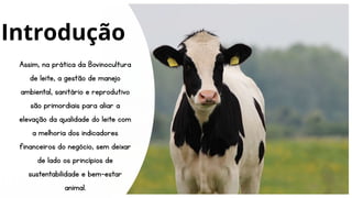 Assim, na prática da Bovinocultura
de leite, a gestão de manejo
ambiental, sanitário e reprodutivo
são primordiais para aliar a
elevação da qualidade do leite com
a melhoria dos indicadores
financeiros do negócio, sem deixar
de lado os princípios de
sustentabilidade e bem-estar
animal.
Introdução
 