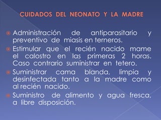  Administración de antiparasitario y
preventivo de miasis en terneros.
 Estimular que el recién nacido mame
el calostro en las primeras 2 horas.
Caso contrario suministrar en tetero.
 Suministrar cama blanda, limpia y
desinfectada tanto a la madre como
al recién nacido.
 Suministro de alimento y agua fresca,
a libre disposición.
 