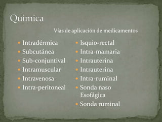  Intradérmica
 Subcutánea
 Sub-conjuntival
 Intramuscular
 Intravenosa
 Intra-peritoneal
 Isquio-rectal
 Intra-mamaria
 Intrauterina
 Intrauterina
 Intra-ruminal
 Sonda naso
Esofágica
 Sonda ruminal
Vías de aplicación de medicamentos
 
