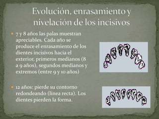  7 y 8 años las palas muestran
apreciables. Cada año se
produce el enrasamiento de los
dientes incisivos hacia el
exterior, primeros medianos (8
a 9 años), segundos medianos y
extremos (entre 9 y 10 años)
 12 años: pierde su contorno
redondeando (línea recta). Los
dientes pierden la forma.
 
