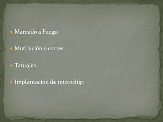  Marcado a Fuego
 Mutilación o cortes
 Tatuajes
 Implantación de microchip
 