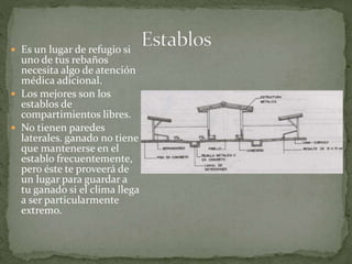  Es un lugar de refugio si
uno de tus rebaños
necesita algo de atención
médica adicional.
 Los mejores son los
establos de
compartimientos libres.
 No tienen paredes
laterales. ganado no tiene
que mantenerse en el
establo frecuentemente,
pero éste te proveerá de
un lugar para guardar a
tu ganado si el clima llega
a ser particularmente
extremo.
 