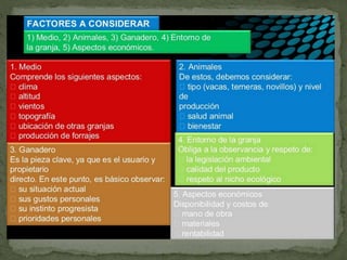 Bovinos de carne y de leche