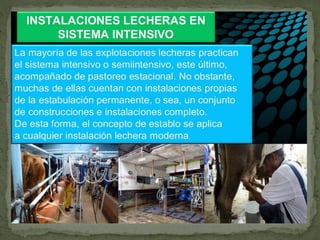 Bovinos de carne y de leche