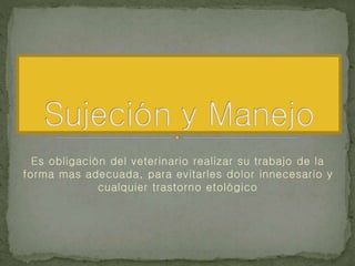 Es obligación del veterinario realizar su trabajo de la
forma mas adecuada, para evitarles dolor innecesario y
cualquier trastorno etológico
 