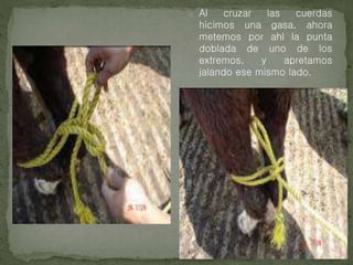 o Al cruzar las cuerdas
hicimos una gasa, ahora
metemos por ahí la punta
doblada de uno de los
extremos, y apretamos
jalando ese mismo lado.
 