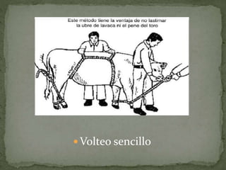  Volteo sencillo
 