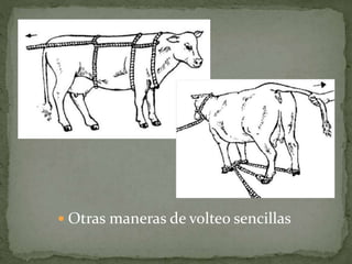  Otras maneras de volteo sencillas
 