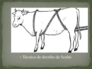  Técnica de derribo de Szabó
 