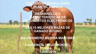 COLEGIO DE BACHILLERES
PLANTEL NOPALA
DESARROLLO Y
CARACTERISTICAS DE
DOCUMENTOS ELECTRONICOS
LAS 10 MEJORES RAZAS DE
GANADO BOVINO
BALODOMERO MEDINA MARTINEZ
LAURENCIA TREJO MONTIEL
4104
13/05/2019
 