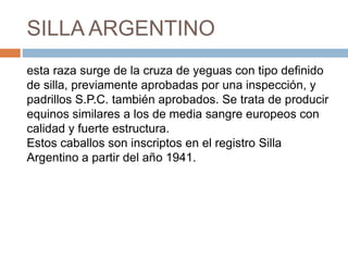 SILLA ARGENTINO
esta raza surge de la cruza de yeguas con tipo definido
de silla, previamente aprobadas por una inspección, y
padrillos S.P.C. también aprobados. Se trata de producir
equinos similares a los de media sangre europeos con
calidad y fuerte estructura.
Estos caballos son inscriptos en el registro Silla
Argentino a partir del año 1941.
 