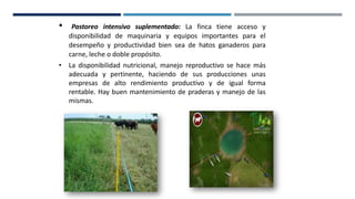 • Pastoreo intensivo suplementado: La finca tiene acceso y
disponibilidad de maquinaria y equipos importantes para el
desempeño y productividad bien sea de hatos ganaderos para
carne, leche o doble propósito.
• La disponibilidad nutricional, manejo reproductivo se hace más
adecuada y pertinente, haciendo de sus producciones unas
empresas de alto rendimiento productivo y de igual forma
rentable. Hay buen mantenimiento de praderas y manejo de las
mismas.
 