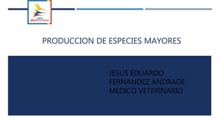 PRODUCCION DE ESPECIES MAYORES
JESUS EDUARDO
FERNANDEZ ANDRADE
MEDICO VETERINARIO
 