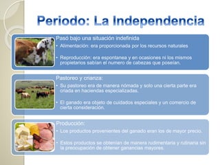 Pasó bajo una situación indefinida
• Alimentación: era proporcionada por los recursos naturales
• Reproducción: era espontanea y en ocasiones ni los mismos
propietarios sabían el numero de cabezas que poseían.
Pastoreo y crianza:
• Su pastoreo era de manera nómada y solo una cierta parte era
criada en haciendas especializadas.
• El ganado era objeto de cuidados especiales y un comercio de
cierta consideración.
Producción:
• Los productos provenientes del ganado eran los de mayor precio.
• Estos productos se obtenían de manera rudimentaria y rutinaria sin
la preocupación de obtener ganancias mayores.
 