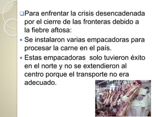 Para enfrentar la crisis desencadenada
por el cierre de las fronteras debido a
la fiebre aftosa:
 Se instalaron varias empacadoras para
procesar la carne en el país.
 Estas empacadoras solo tuvieron éxito
en el norte y no se extendieron al
centro porque el transporte no era
adecuado.
 