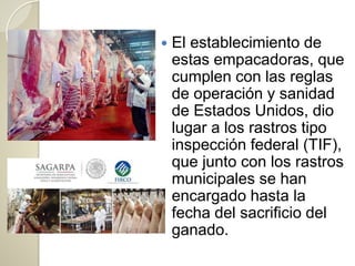  El establecimiento de
estas empacadoras, que
cumplen con las reglas
de operación y sanidad
de Estados Unidos, dio
lugar a los rastros tipo
inspección federal (TIF),
que junto con los rastros
municipales se han
encargado hasta la
fecha del sacrificio del
ganado.
 