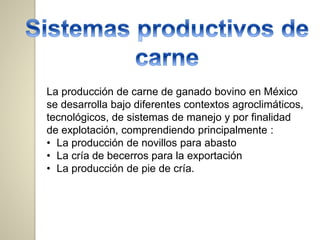 La producción de carne de ganado bovino en México
se desarrolla bajo diferentes contextos agroclimáticos,
tecnológicos, de sistemas de manejo y por finalidad
de explotación, comprendiendo principalmente :
• La producción de novillos para abasto
• La cría de becerros para la exportación
• La producción de pie de cría.
 