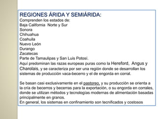 REGIONES ÁRIDA Y SEMIÁRIDA:
Comprenden los estados de:
Baja California Norte y Sur
Sonora
Chihuahua
Coahuila
Nuevo León
Durango
Zacatecas
Parte de Tamaulipas y San Luis Potosí.
Aquí predominan las razas europeas puras como la Hereford, Angus y
Charolais, y se caracteriza por ser una región donde se desarrollan los
sistemas de producción vaca-becerro y el de engorda en corral.
Se basan casi exclusivamente en el pastoreo, y su producción se orienta a
la cría de becerros y becerras para la exportación, o su engorda en corrales,
donde se utilizan métodos y tecnologías modernas de alimentación basadas
principalmente en granos.
En general, los sistemas en confinamiento son tecnificados y costosos
 