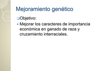 Mejoramiento genético
Objetivo:
 Mejorar los caracteres de importancia
económica en ganado de raza y
cruzamiento interraciales.
 