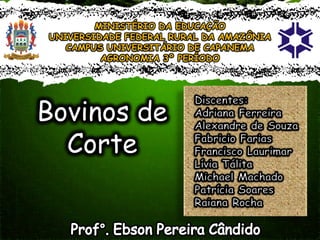 MINISTÉRIO DA EDUCAÇÃO
UNIVERSIDADE FEDERAL RURAL DA AMAZÔNIA
CAMPUS UNIVERSITÁRIO DE CAPANEMA
AGRONOMIA 3º PERÍODO
Bovinos de
Corte
 