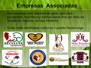 Empresas Associadas
• São empresas com objetivos de gerar valor para
pecuaristas, frigoríficos e consumidores final por meio da
criação de matrizes, da raça Hereford.
• Todas estão certificadas conforme o padrão Racial exige
 